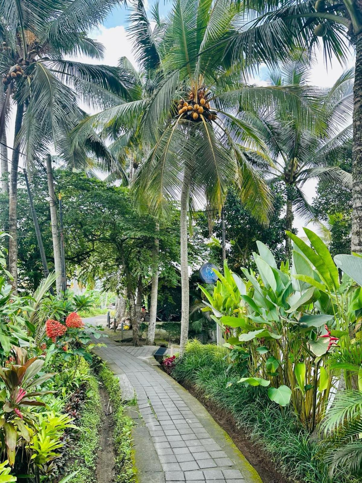 Villa Olirine By Balisuperhost Ubud Zewnętrze zdjęcie
