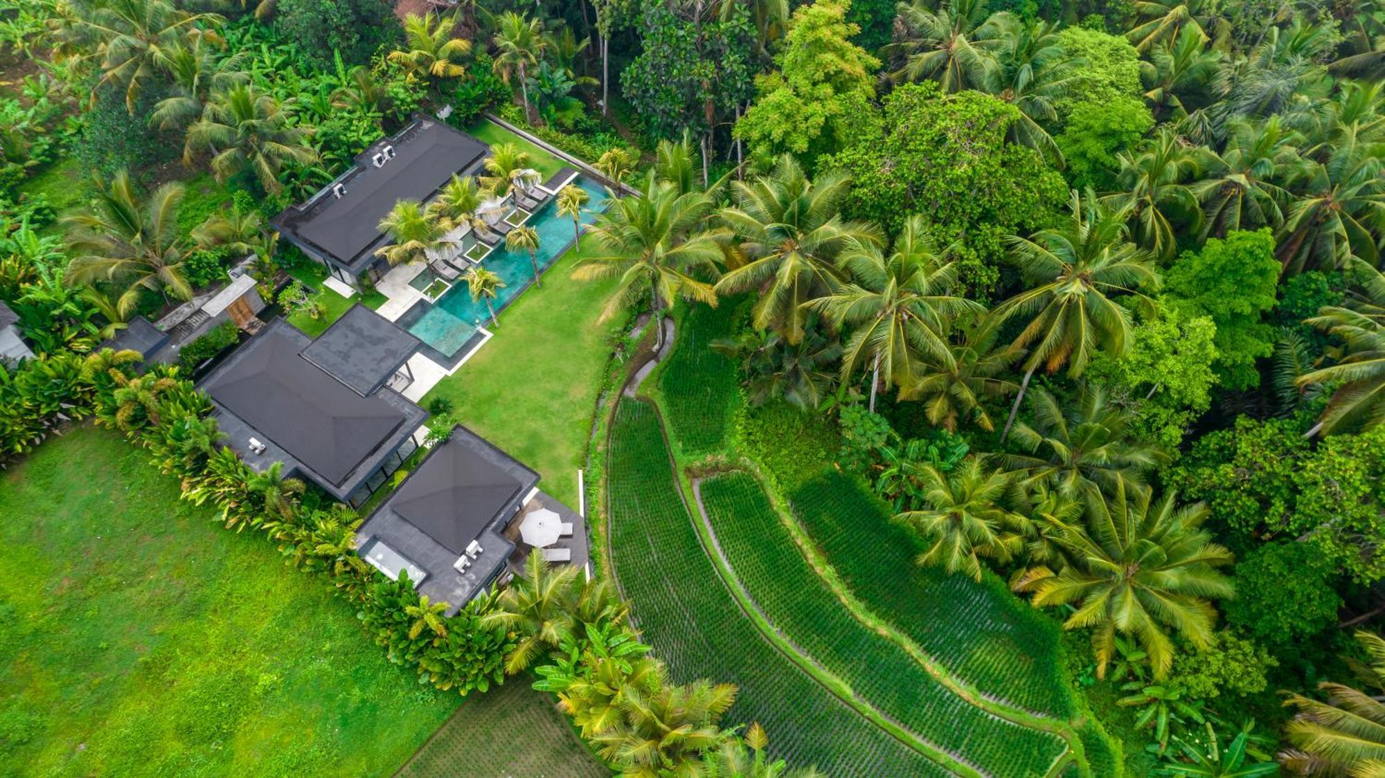 Villa Olirine By Balisuperhost Ubud Zewnętrze zdjęcie